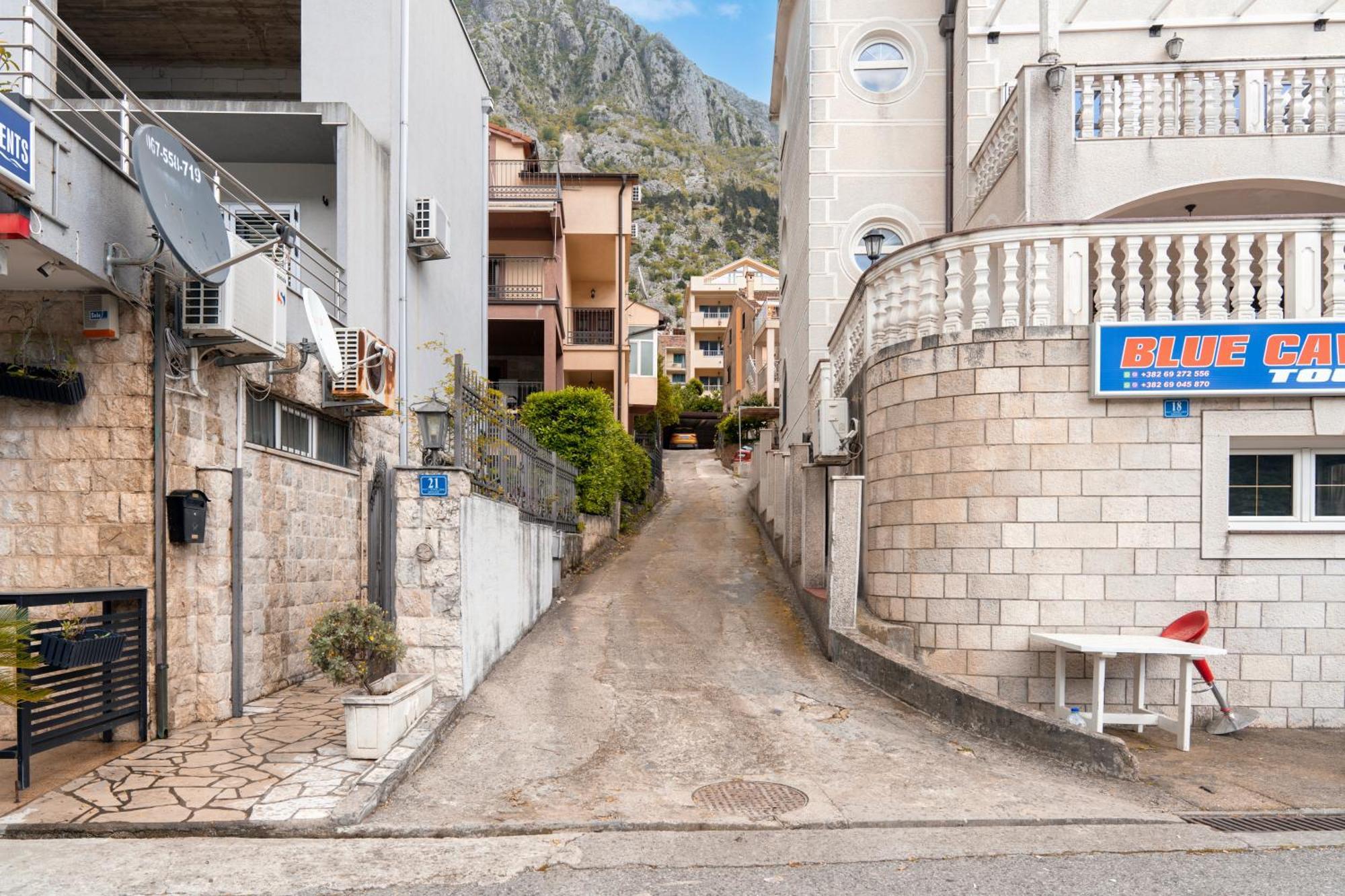 Busola * Kotor