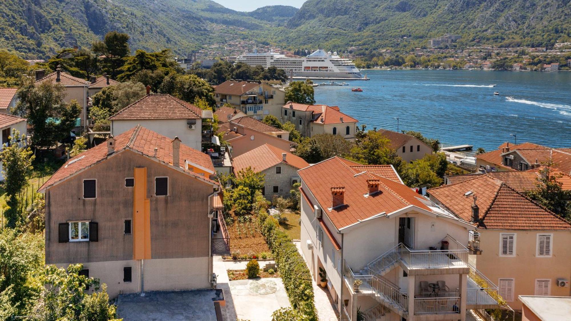 Busola * Kotor